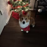 Lisa Lanzi - @lazita1 - Instagram