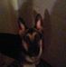 Lisa Lapham - Facebook