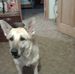 Lisa Lapham - Facebook