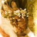 Lisa lapin - Facebook