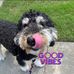 Lisa Stephenson LaRock - Facebook