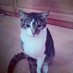 lisa lechner - @lilli_lechner - Instagram