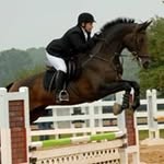 Lisa Chambers Ledermann - @ledermannlisa - Instagram