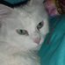 Elisa Ledet - Facebook