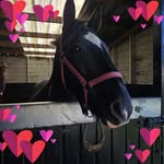 Lisa Leech - @lisa.leech.5 - Instagram