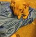 Lisa Leek - Facebook