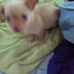Lisa Leek - Facebook