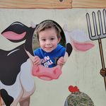 Lisa Harrison Lefever - @harrisonlefever - Instagram