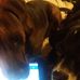 Lisa Lefever - Facebook
