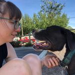 Lisa Eddington - @lisalego - Instagram