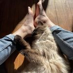Lisa Le Goff - @lisa.legoff - Instagram