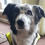 Lisa Lettall - @lisalettall - Instagram