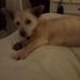 Lisa Limoni - Facebook