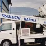 Lisa Traslochi Limongelli - Facebook