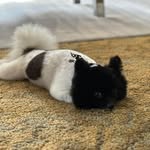Lisa Litton Murphy - @lsatoy - Instagram
