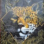 Lisa Lotts - @lisasenchantedcosmos - Instagram