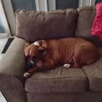 Lisa Lovins - @lovins208 - Instagram