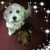 Lisa Smith Ludwick - @lisasmithludwick - TikTok