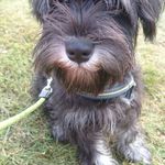 Lisa Lunde - @trolltyg79 - Instagram