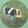 lisalunde - @lisalunde - TikTok