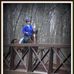 Lise Lunde - Facebook