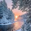 Lisa Lundquist636 - @user5759288379855 - TikTok
