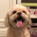 Lisa Lundquist - @lisa.lundquist.90 - Instagram