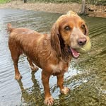 Lisa Lunn - @ljlunn67 - Instagram