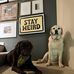 Lisa Catalano Luttmann - Facebook