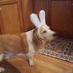 Lisa Lykins - @lykins3639 - Instagram