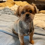 Lisa Lytle - @lytfam7 - Instagram