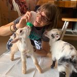 Lisa MacIntyre - @torticat - Instagram