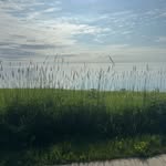 Lisa Mahnke - @lisamahnke1963 - Instagram