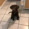 Lisa Mahnke - @lisa.mahnke62 - TikTok