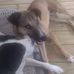 Lisa Malcomb Delaune - Facebook