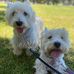 Lisa Mannix - Facebook