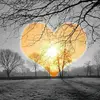 @lisamanns - @lisalynn17 - TikTok
