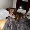 lisamannstowers - @lisamannstowers - TikTok