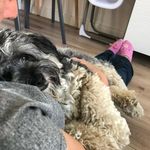 Lisa Mantle - @lisadilkes - Instagram