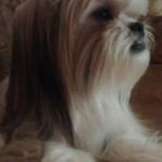 Lisa Mantooth - @mantoothlisa - Instagram