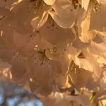 Lisa Mapes Matsumoto - @lisa.mapes.matsumoto - Instagram