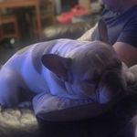 Lisa Mapp - @mapp_lisa - Instagram