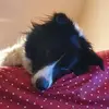 Lisa Mapp - @lisamapp - TikTok