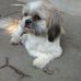Lisa Marini - Facebook