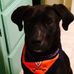Lisa Marker - Facebook
