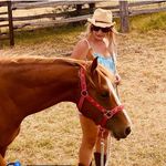 Lisa Maree Marple - @wildeaglepainthorsefarm - Instagram