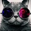 Lisa_Marra4015 - @lisa_marra4015 - TikTok
