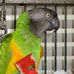 Lisa Mazzitelli - Facebook