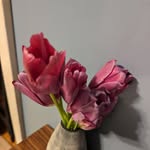 Lisa Matchett - @lmatchett22 - Instagram