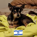 Lisa Matney - Facebook